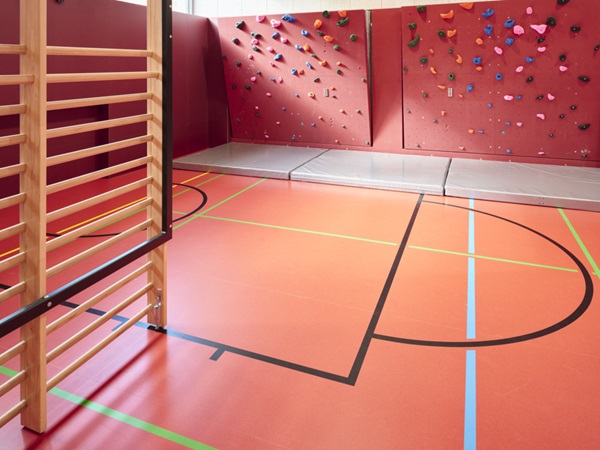 Details Sporthalle: Ausgeklappte Sprossenwand, Kletterelemente