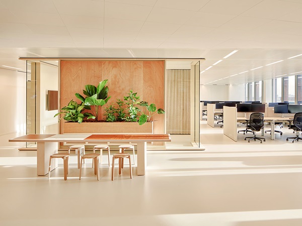 Office concept focusing on bio-based or recycled materials