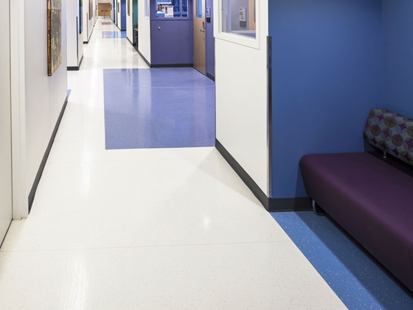 Lewistone_Niagara-University-Golisano-Center