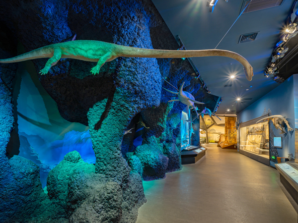 Replica of a marine dinosaur in the Zhejiang Natural History Museum