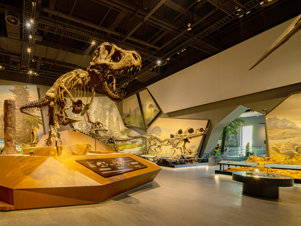 Mighty dinosaur skeleton at the Zhejiang Natural History Museum, Anji site